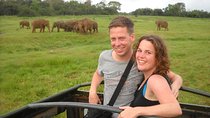 Guided Elephant Safari: Minneriya or Kaudulla