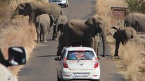 Pilanesberg National Park Open Truck