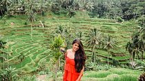 The Best Package Private Tours Explore Ubud Village with Lunch