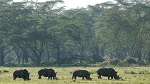 2 Days 1 Night Lake Nakuru National Park Tour