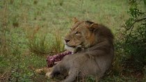 Three Days Murchison Falls National Park Tour in Uganda