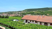 Valpolicella - The wine paradise