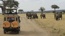 8 Days 7 Nights Private Lodge Safari