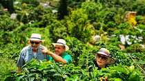 Coffee Tour in the Beautiful Jardin Town: Adventure in the Andes