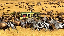 4 Days Mid-range Safari Serengeti,Ngorongoro and Lake Manyara National Park