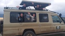 Day Trip to Ngorongoro Crater