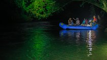 Small Group Twilight Wildlife Boat Tour in La Fortuna