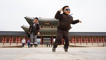 Seoul: Fully Customizable Private Tour 