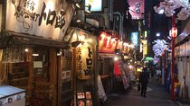 Private tour in Tokyo on your own custom itinerary