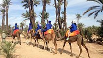 Marrakech Camel Ride at the Palm Groves