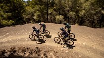 Malaga E-MTB Tour: Botanical Garden, Natural Park and Port of Malaga 