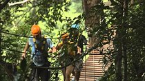 Flying Hanuman Zipline with Private Transfer 