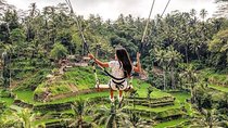 Bali: Swing And Ubud Tour