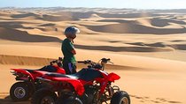 Morning Desert Safari With Quad Biking, Camel Riding and Dune Bashing