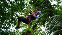 Canopy & Tarzan Swing In The Base of The Arenal Volcano