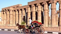Luxor city tour by Horse Carriage, live & discover local life