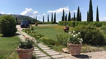 Small group Chianti-side wine tour with Mercedes V class Van