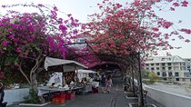 City tours in Panama