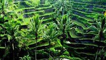 Best of Ubud villlage & Dance with Rice Terrace & Waterfall Trips
