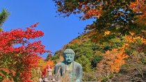 Kamakura Spanish Tour