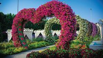 Miracle Garden: Dubai Flora and Fauna 4-Hour Tour