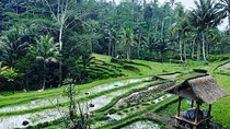 Best of Bali private customized tours