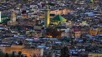 Half Day Tour in Fez Medina (private tour guide)