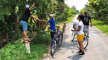  Non-Touristy Mekong Delta with Biking in Ben Tre Private Tour