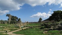 Temple of Artemis-Brauron Half Day Private Tour 8 seat 