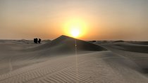 Dubai Sunrise Desert Tour