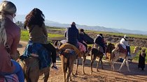 Desert Agafay camel ride atlas mountains hike all-inclusive 