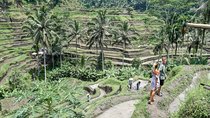 All BEST NATURE, Culture and Heritage: Private Tour in UBUD