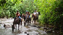 Horseback to La Fortuna Waterfall From Arenal
