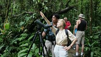 Birding Watching tour from San José