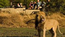 Five-Day Hwange NP, Chobe NP and Victoria Falls Combo