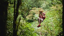 Zipline Adventure San Luis From San José