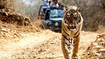 6 Days Golden Triangle with Ranthambore Tiger Safari