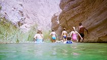 Wadi Shab full day tour (Muscat tours) :Kids friendly