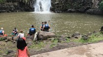 North Shore / Waimea, Falls Day & Swim with Turtles