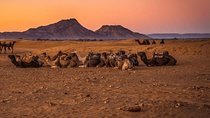 2 Days 1 Night Amazing Zagora Desert Tour From Marrakech