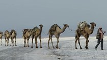 15 Days Afar Danakil Depression
