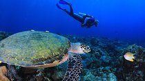 Discover Scuba Diving