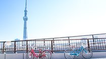 [electric bicycle tour]: 6-hour travel course by electric bicycle Asakusa, Ueno Park, Edo-Tokyo Museum, and Sky Tree. (There is a support car.)