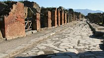 Pompeii and Vesuvius Private Guided Tour