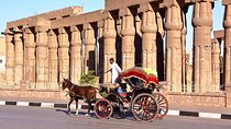 3-Hour Private Luxor Horse Carriage City Tour