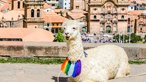 Half Day - Cusco City Essentials (Afternoon Group Tour)