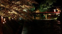 Ghost Stories and Nightlife Tour of Takayama (Private Tour - Price per Group)