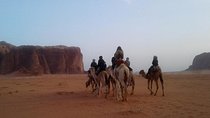 Mix Trip Jeep, Camel Tour And Overnight in the Camp
