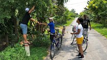 Non-Touristy Mekong With Biking 1 Day