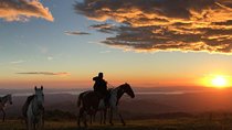 Monteverde Cloud Forest Horseback Riding